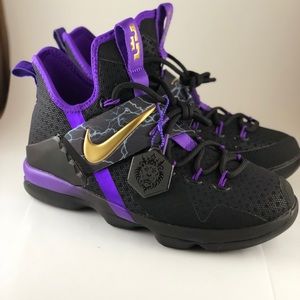 lebron special edition shoes